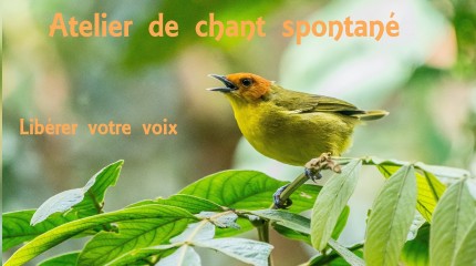 Découverte du chant spontané